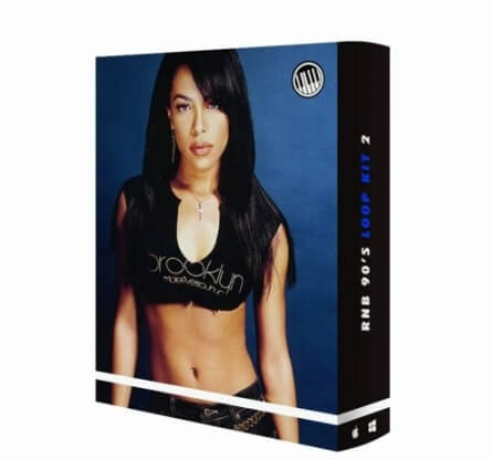 Producer Kit R&B 90s Loop Kit 2 WAV